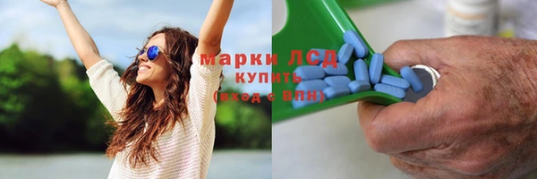 стафф Алзамай