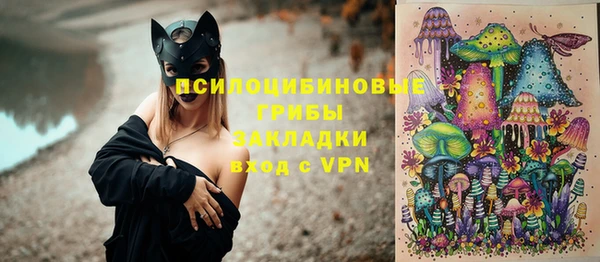 твердый Алексин