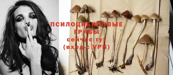 стафф Алзамай