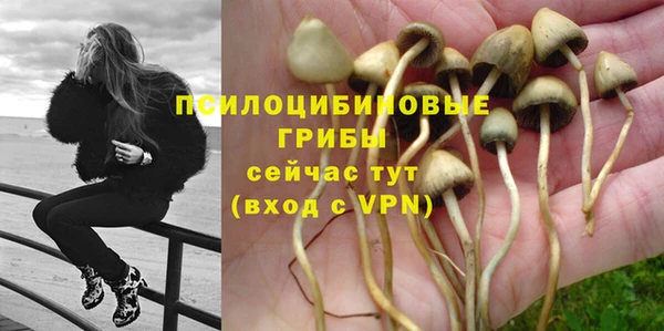 стафф Алзамай