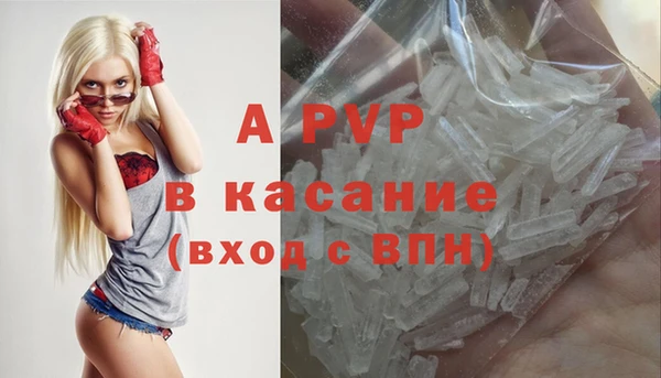 стафф Алзамай