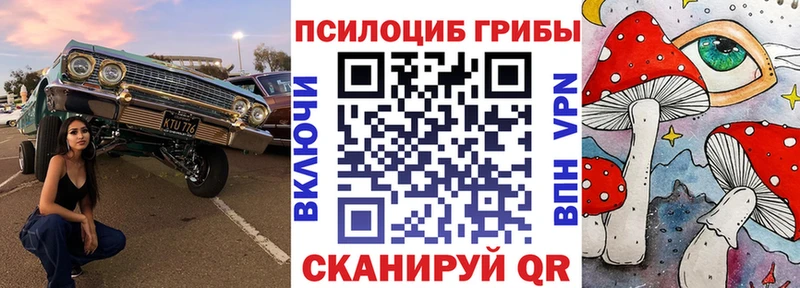 Псилоцибиновые грибы мицелий  мега вход  Порхов 
